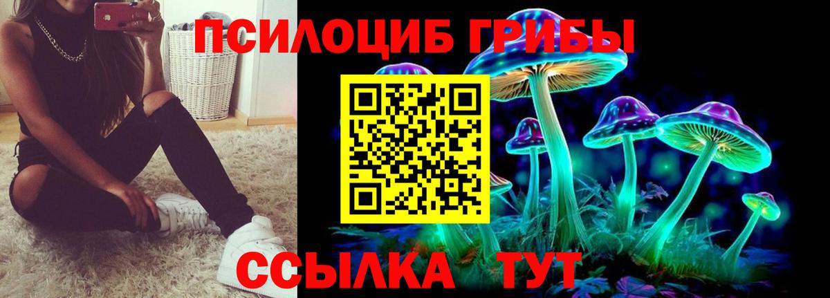 Йошкар-Ола  Псилоцибиновые грибы прущие грибы  Вход с VPN 